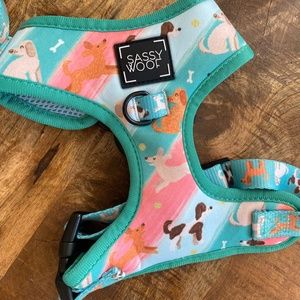Sassywoof oodles of doodles harness set
